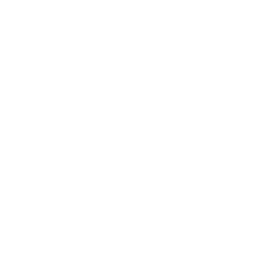 Wit logo Centrum voor ontwikkeling